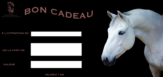 Bon cadeau photos de Maephotographie